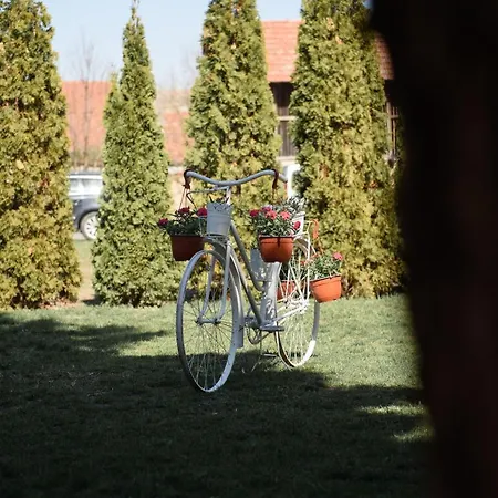 Dumalux Corner Apartman *