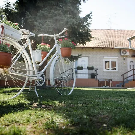 Dumalux Corner アパート *